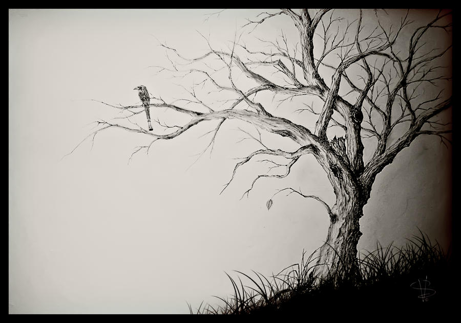 clip art dying tree - photo #50