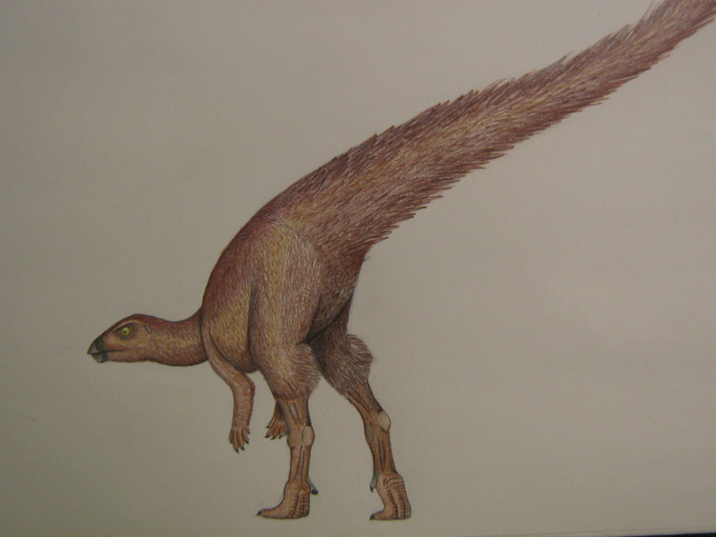 leaellynasaura_amicagraphica_by_spinosaurus1-d7ugr2q.jpg
