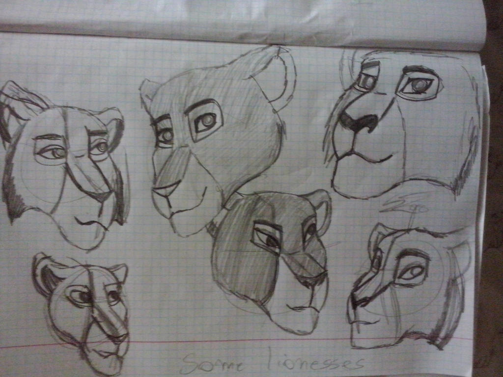 some_lionesses_by_korrontea-d85p9hj.jpg