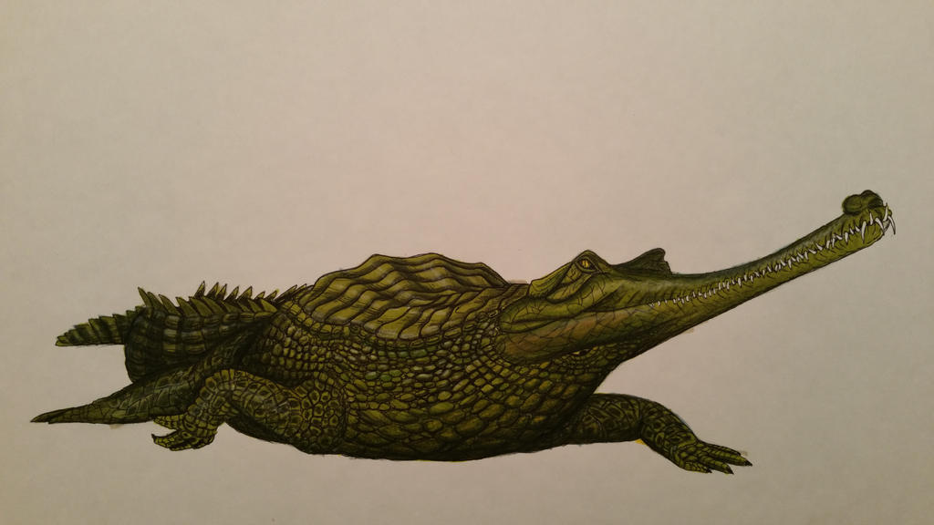 gavialis_pachyrhynchus_by_spinosaurus1-d8ihzk4.jpg