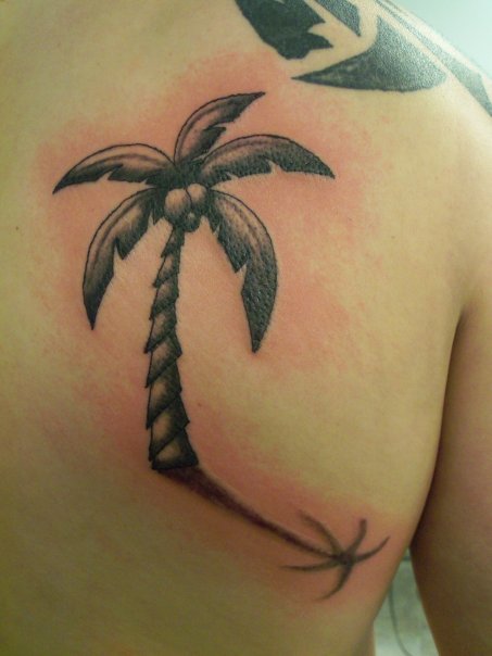 palm tree tattoos. tree tattoos. Palm Tree