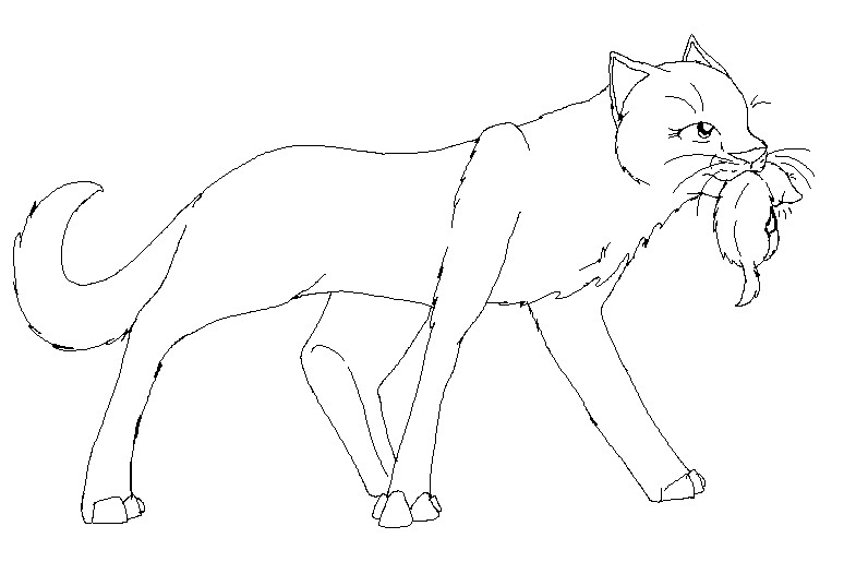 Queen Warrior Cat Pages Coloring Pages