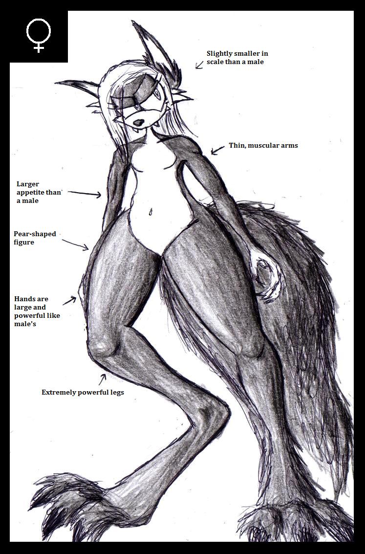 female_werewolf_by_vvraith-d38egtv.jpg
