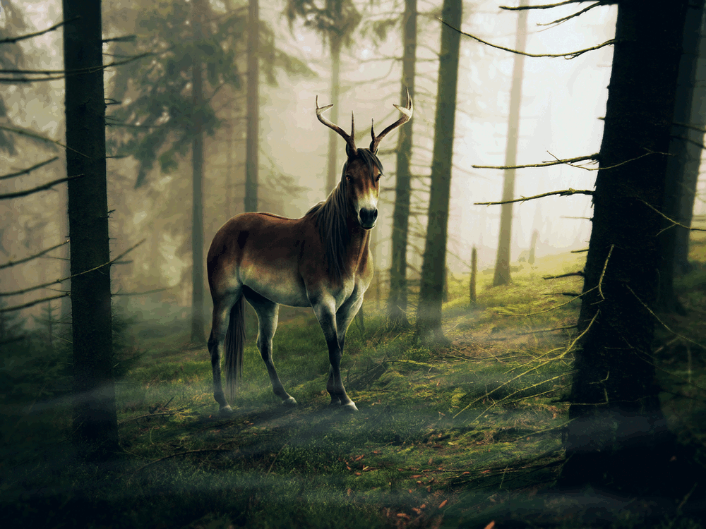 Deer horse ANIMATED by BaukjeSpirit