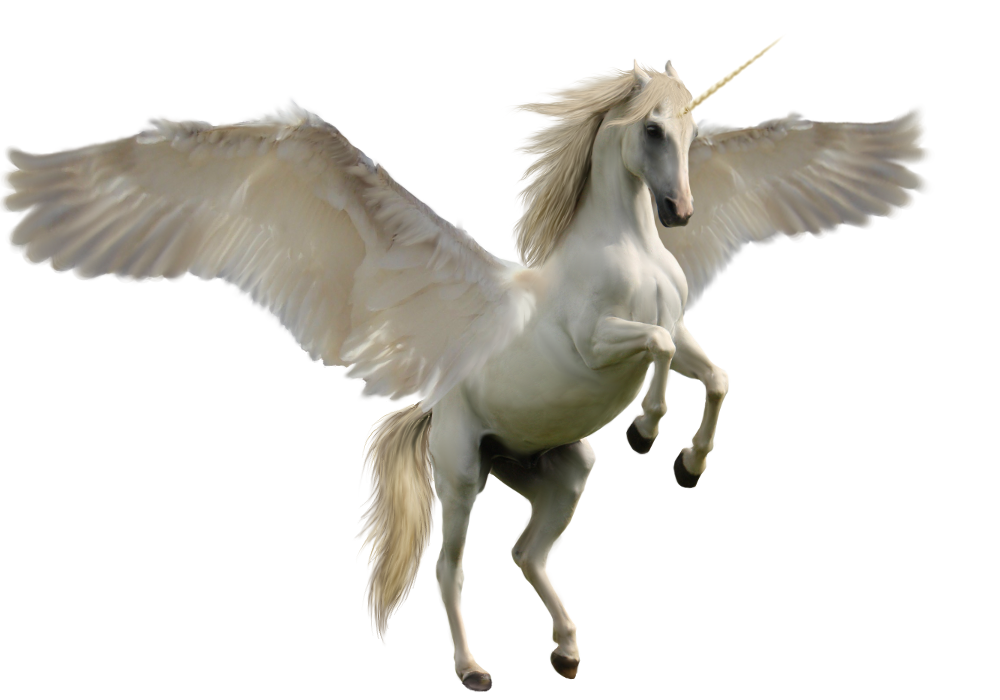 Winged Unicorn by Discoverie on DeviantArt