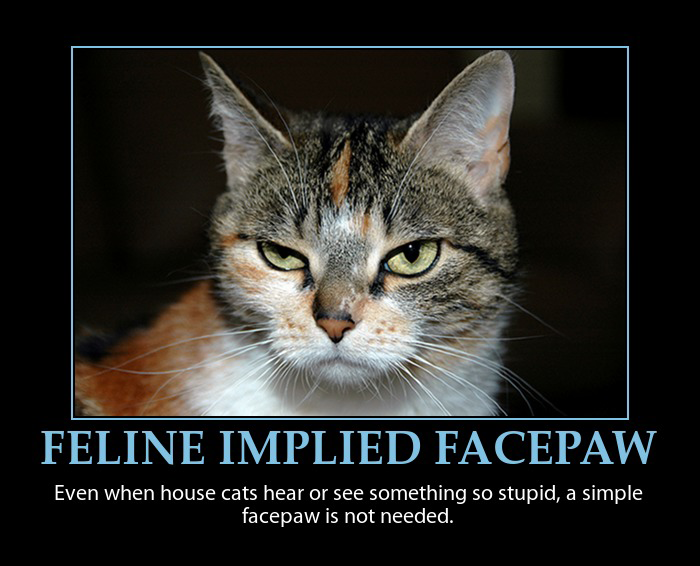 feline_implied_facepalm_by_mrangrydog-d89ysno.png