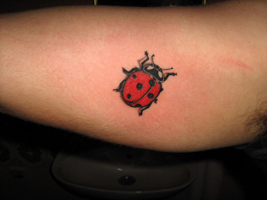 Ladybug by UngarTattoo on deviantART