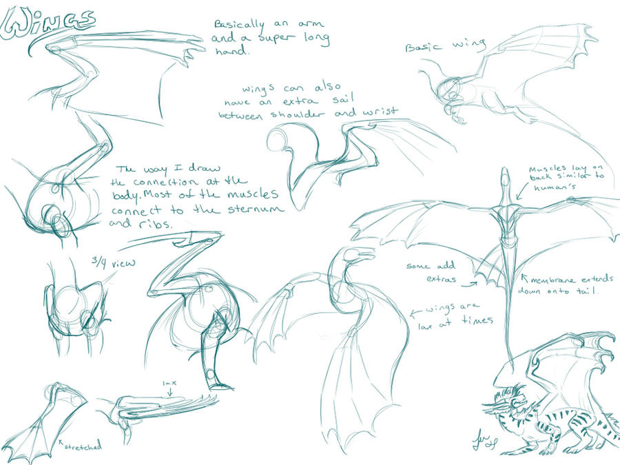 Sometimes drawing dragon wings can be a really difficult task because is not