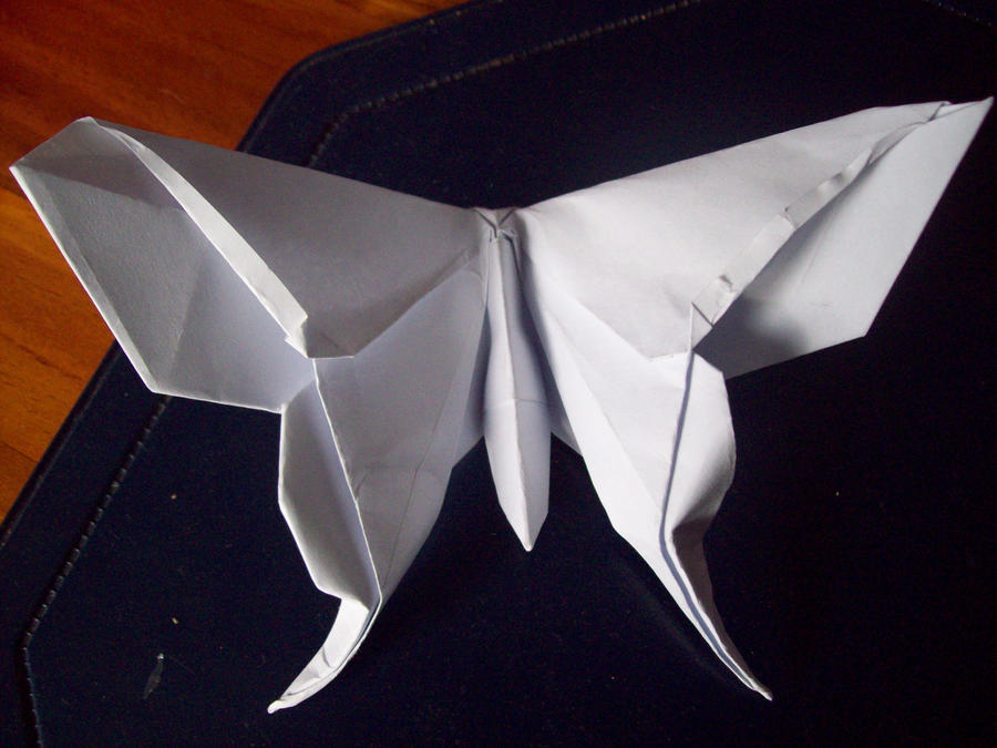 how to origami butterfly. origami butterfly by