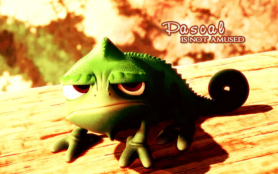 pascal_is_not_amused_by_kg1507-d36u1bv.jpg