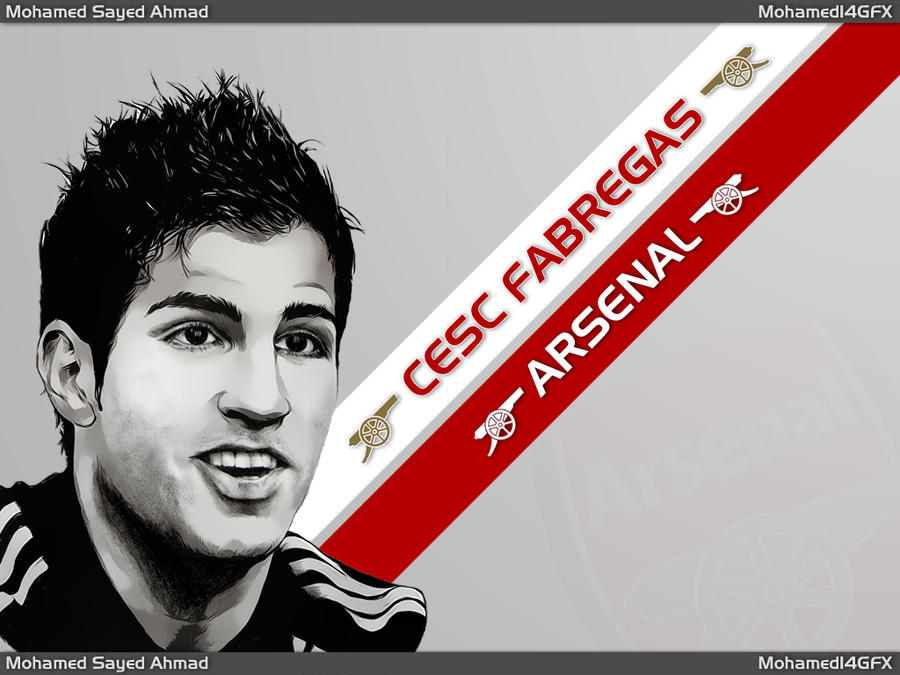 cesc fabregas wallpapers. Cesc Fabregas Wallpaper by