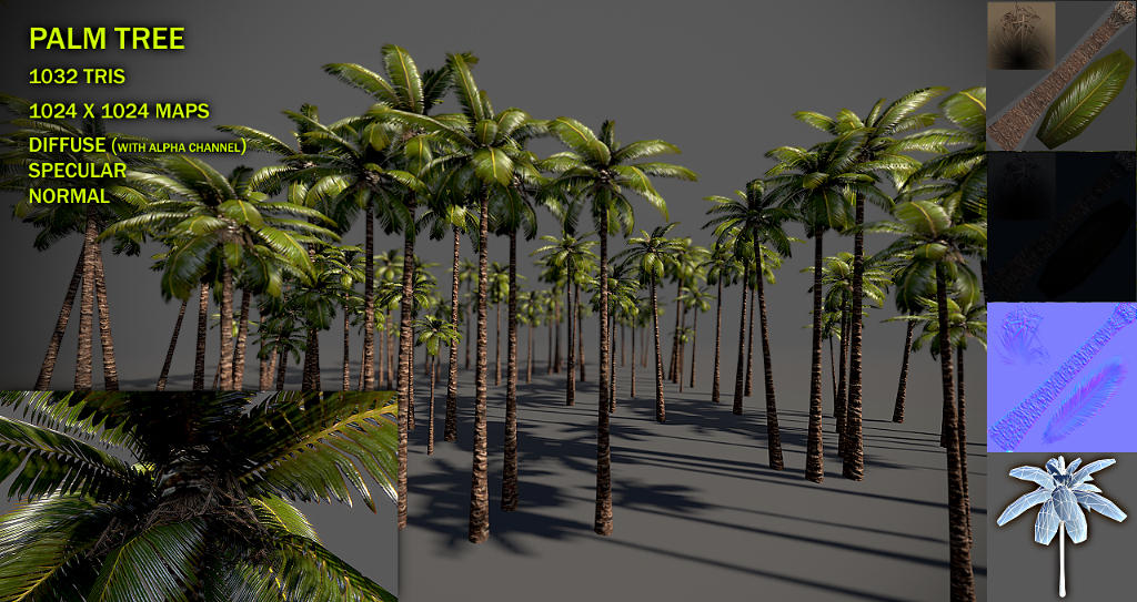 palm_tree_v2_by_nobiax-d4ey4ad.jpg