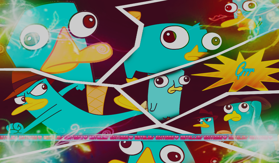 Wallpapers Perry el ornitorrinco HD - Imagui