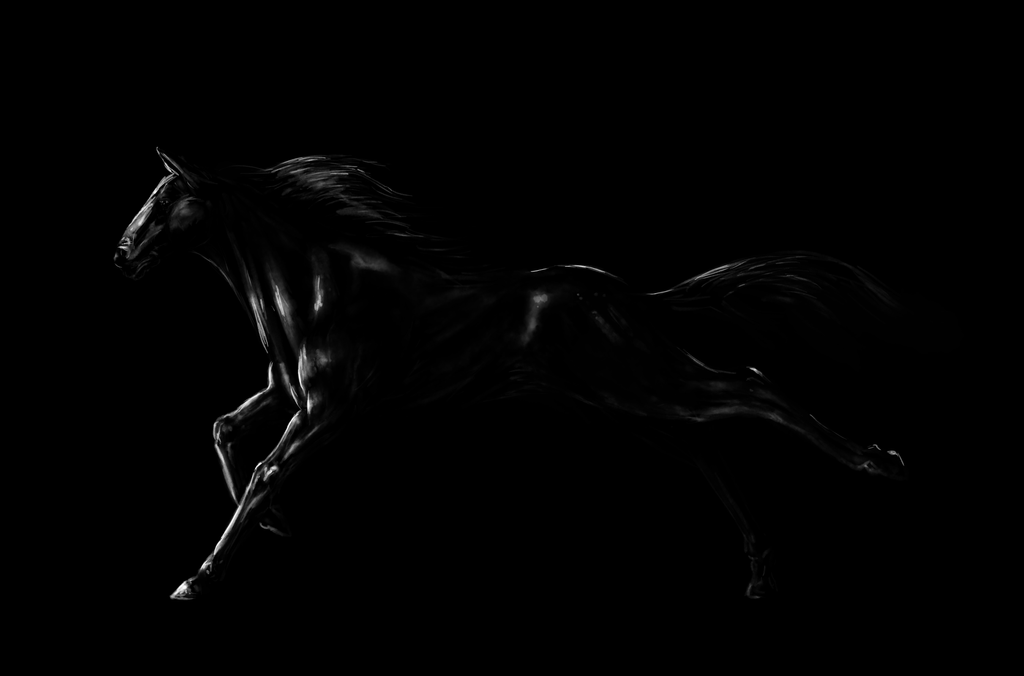 Black horse by LadyAway