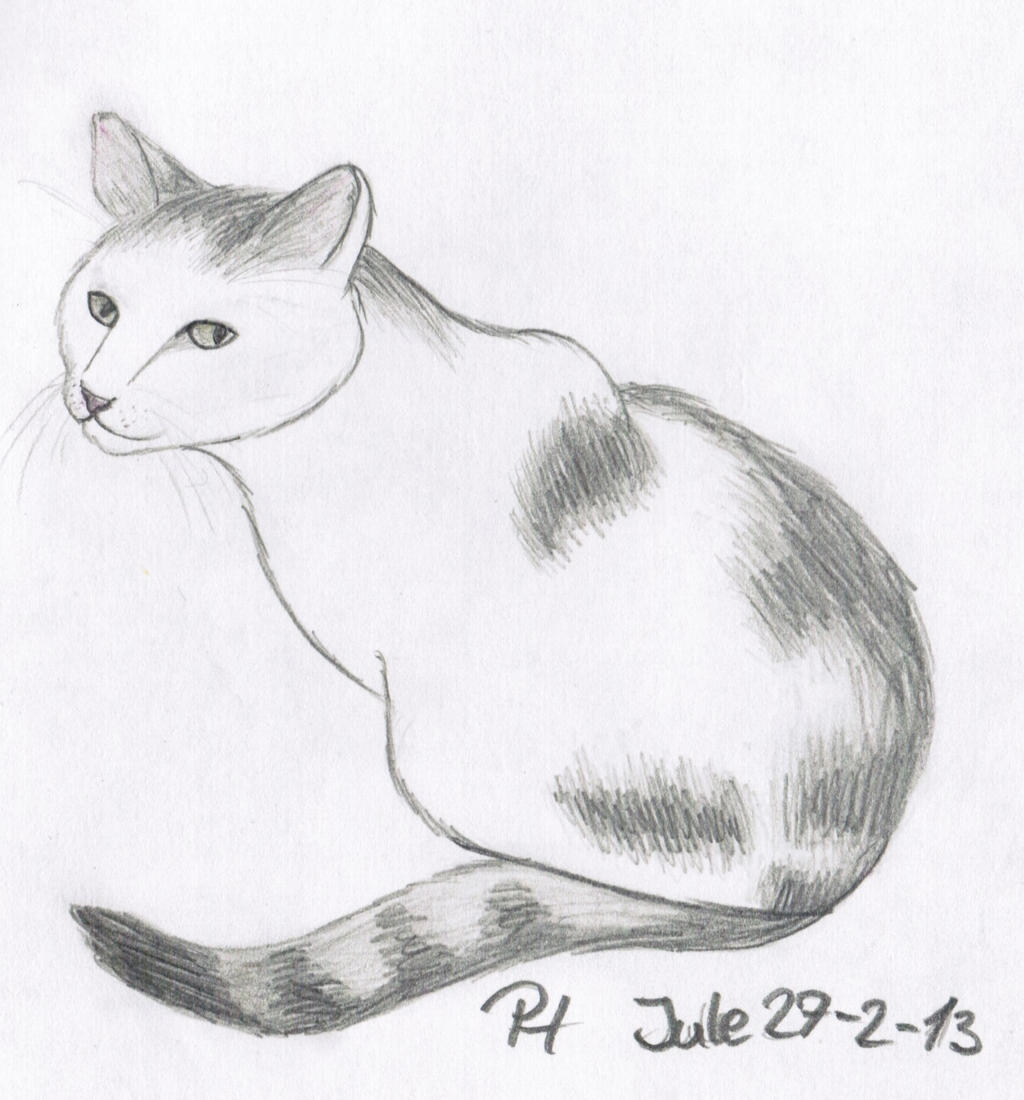 Sitting Cat Drawing by KikoJonka on DeviantArt