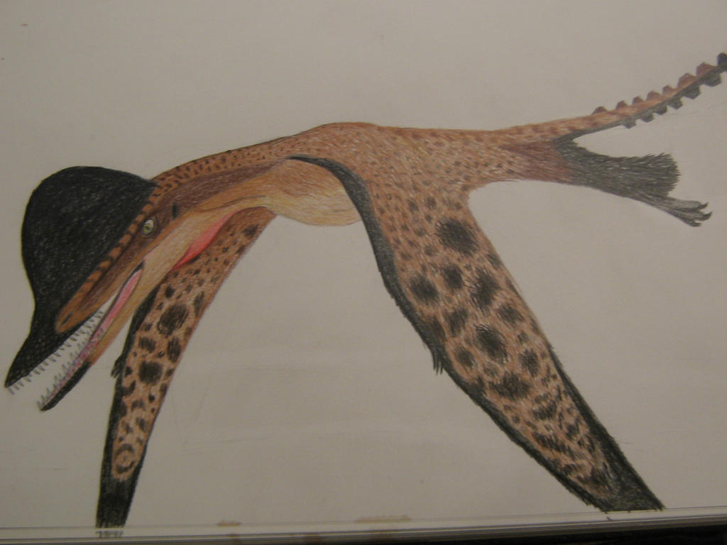 pterorhynchus_wellnhoferi_by_spinosaurus1-d7uddze.jpg