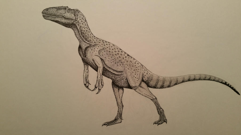chilantaisaurus_by_spinosaurus1-d8dg6mf.jpg