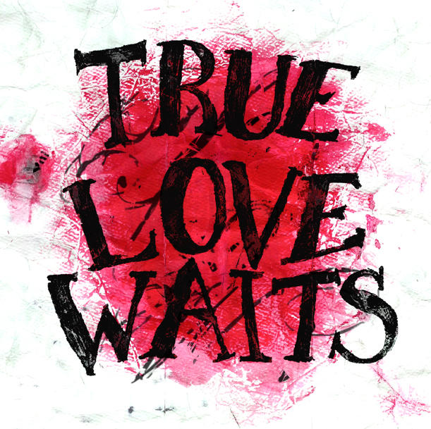 ... the love story true love waits image true love waits quotes bible