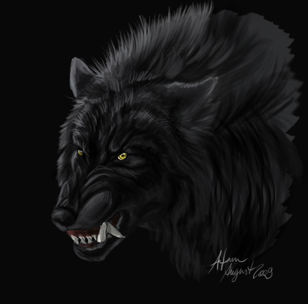 Wolf face doodle by Atan on DeviantArt
