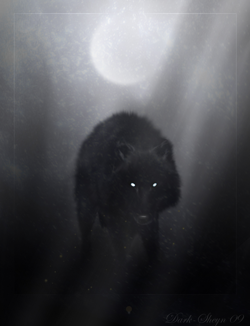 Wolf of winter night by Dark-Sheyn on DeviantArt