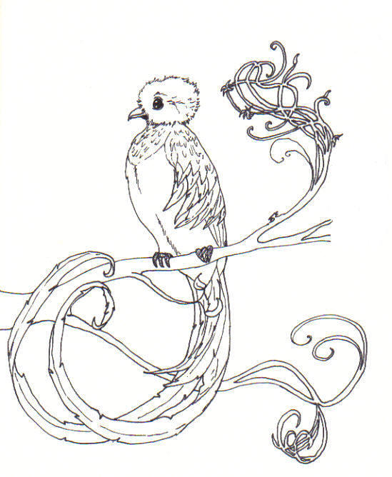quetzals of guatemala coloring pages - photo #7
