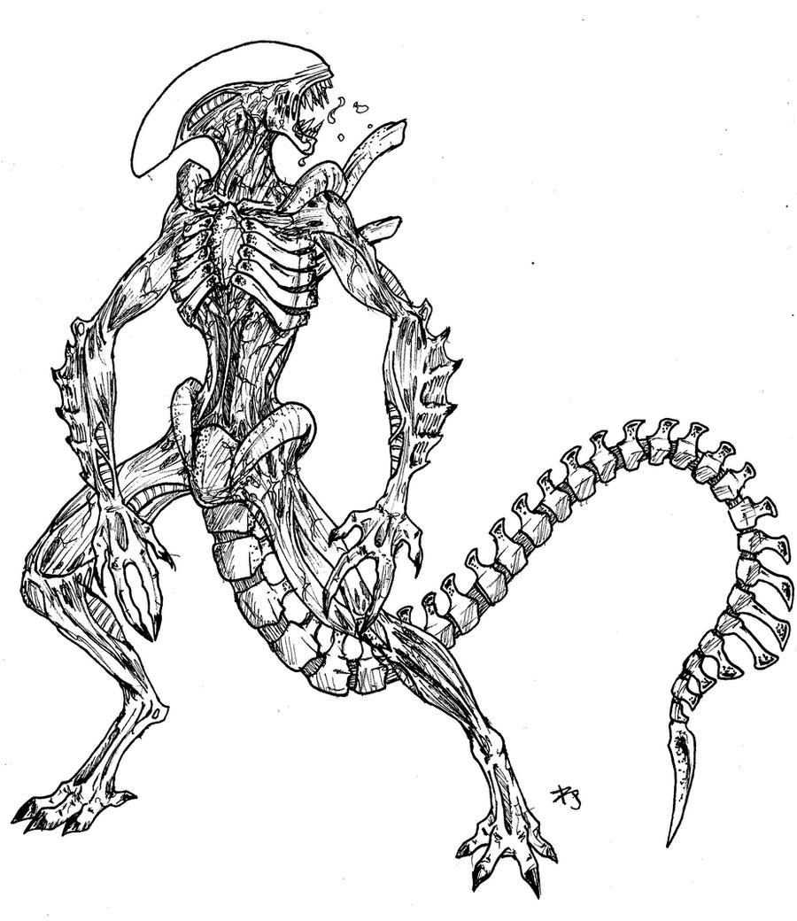 xenomorph drone coloring pages - photo #5