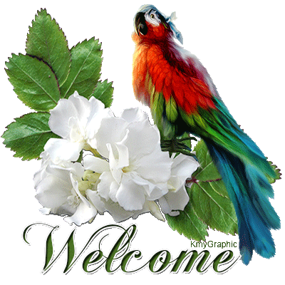 Welcome by KmyGraphic