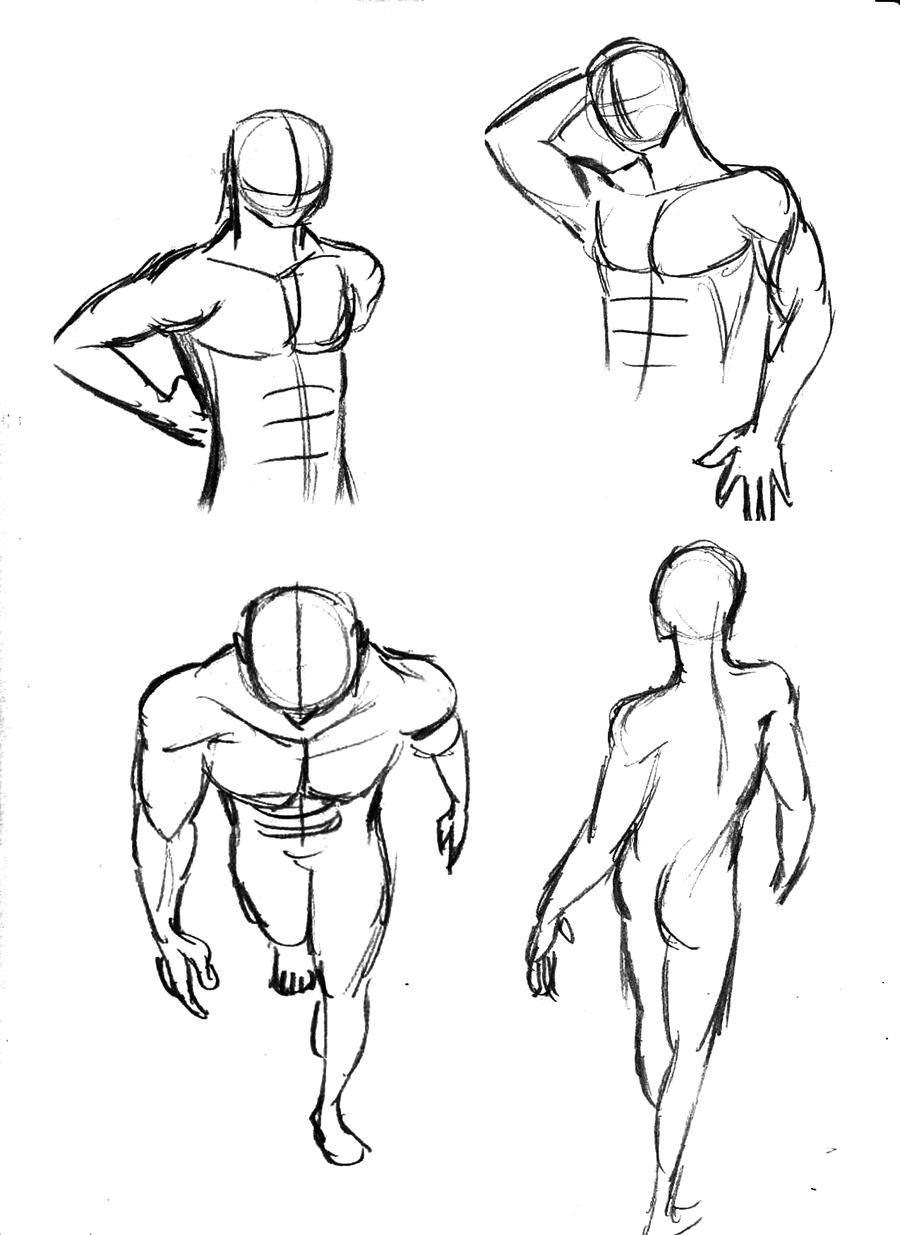 male bodies sketch by Zummeng on DeviantArt