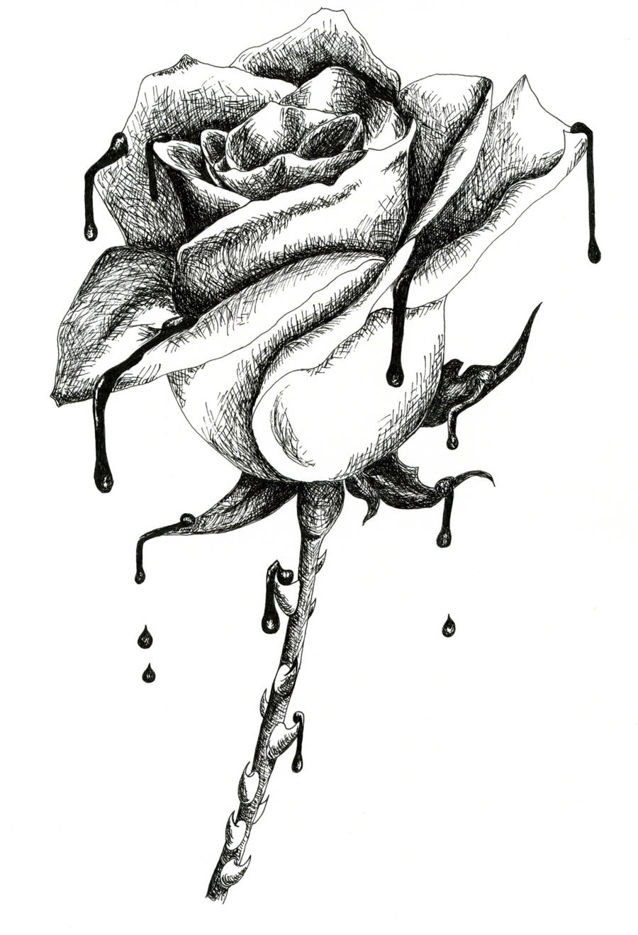 Rose Cross Hatching by Holliewood1391 on DeviantArt