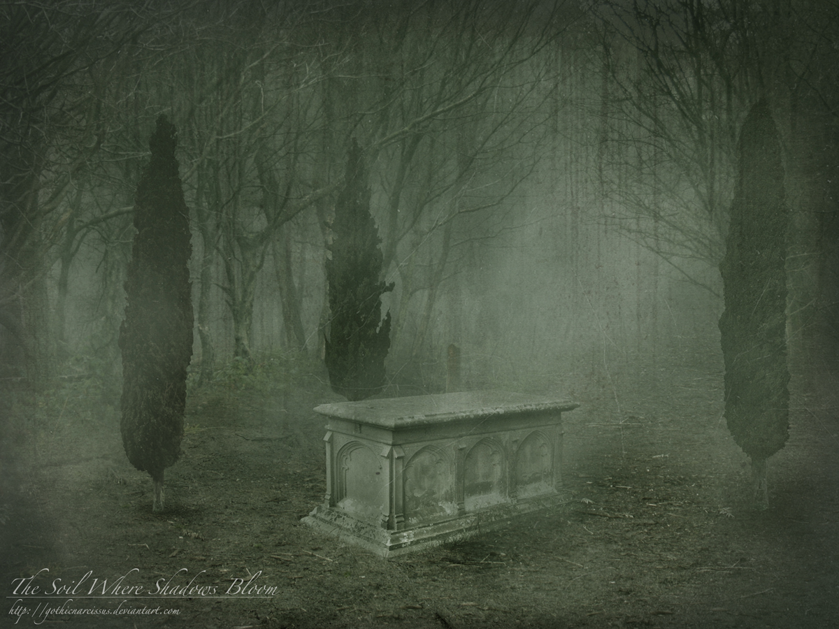 The Soil Where Shadows Bloom by GothicNarcissus