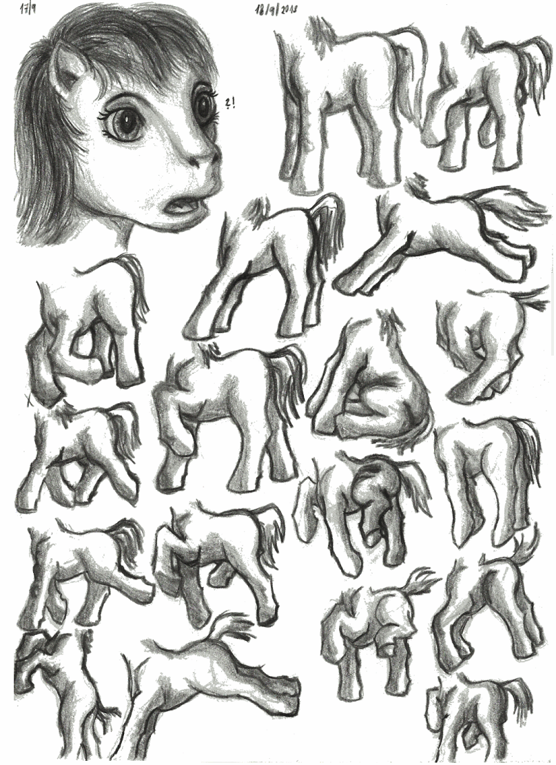 [Obrázek: pony_body_and_head_sketches_september_20...6mvkh0.png]