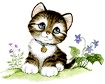 Lovely Kitty by KmyGraphic