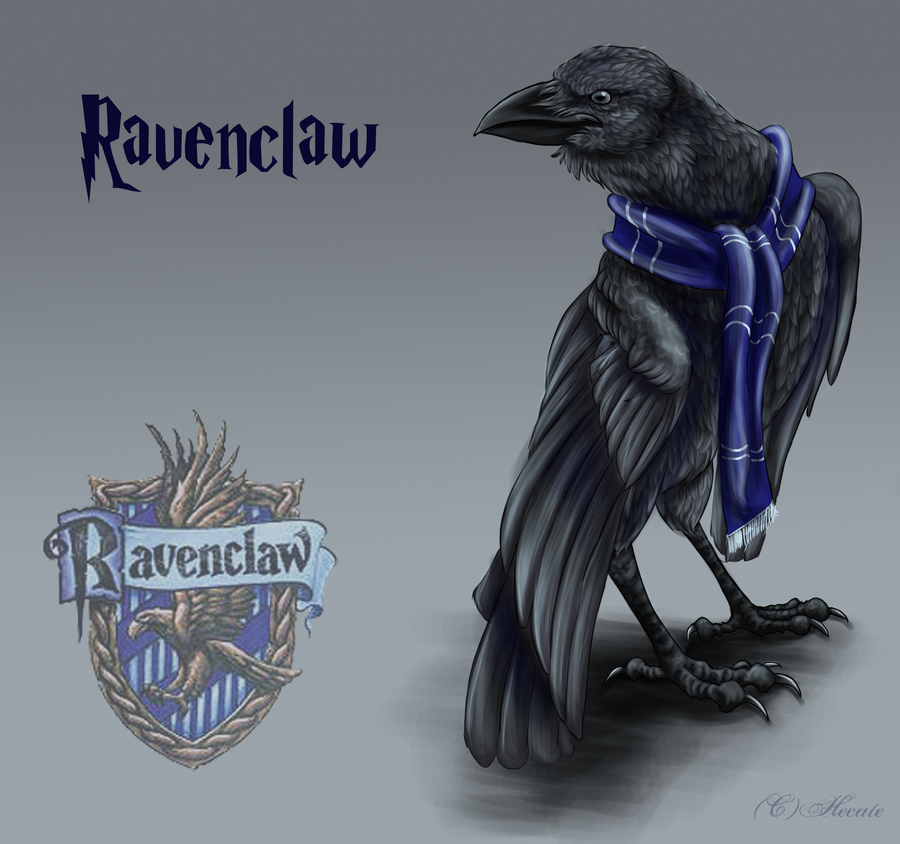 1000+ images about Ravenclaw on Pinterest
